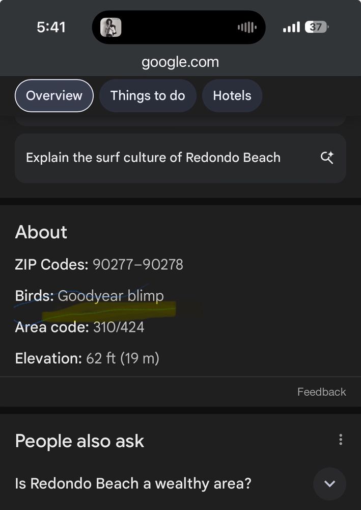 Screenshot of google AI search summary that says the local bird population of Redondo Beach is “Goodyear Blimp”