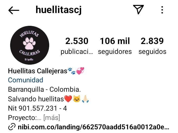 huellitascj