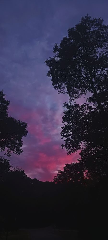 A sunset sky showing pink, lavender, and blue clouds, in the foreground there's a silhouette of trees and hills.