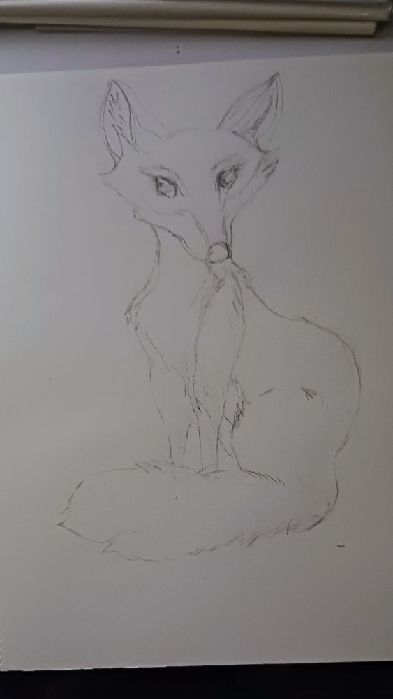 Light line sketch of a fox on white paper