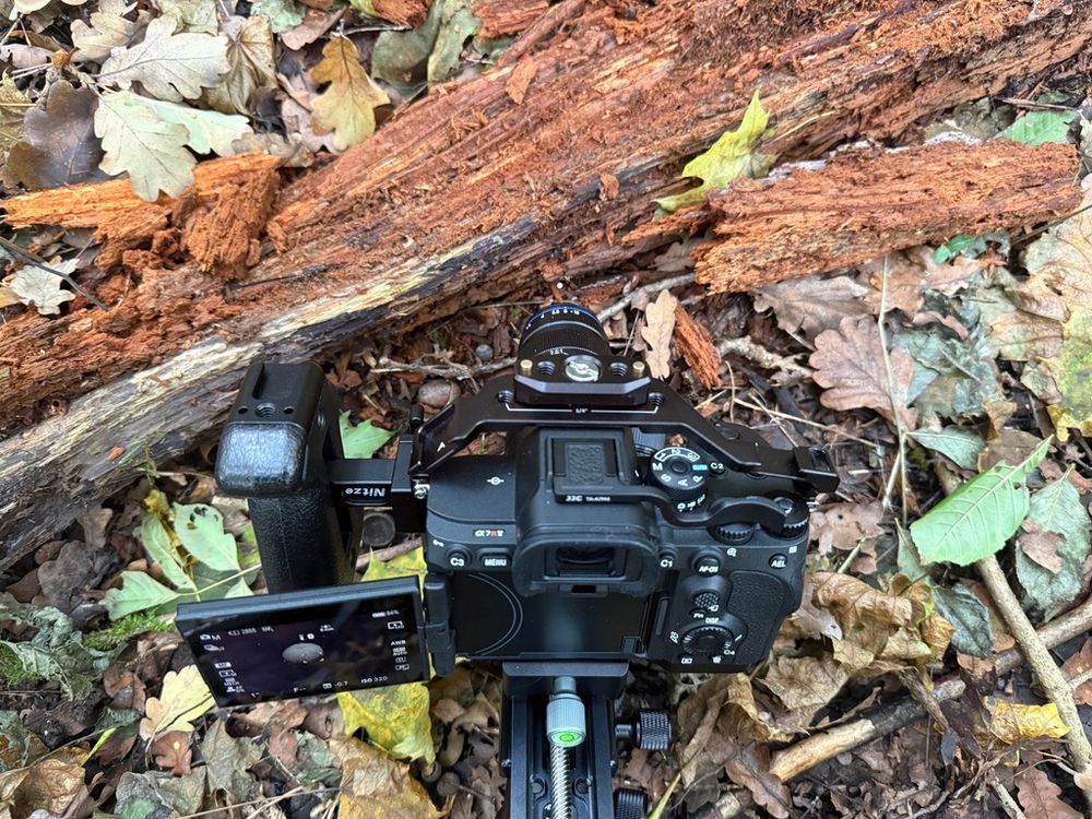 A "behind the scenes" shot showing how the macro photo of a mushroom was made that I posted a couple of days ago. Or, well, almost. Autumn-coloured leaves and some small sticks and branches on the forest floor, a rotting fallen branch (or young log) crossing the picture from mid-left to top-right, some wood flaked off from it. My black camera is the main point of interest at first, mounted in a cage on a macro sledge, display flipped out. In front of the lens is a tiny little white dot, roughly the real-life size of a pin's head, give or take a few micrometers. The purpose of the shot is to show how incredibly large a macro lens can blow up the tiniest specks of life, and how the macro plane is a world of all its own. We humans should pay more attention to the wealth of small details hiding around us, and treat every living thing with fascination and respect equally, no matter how large or small it may be.