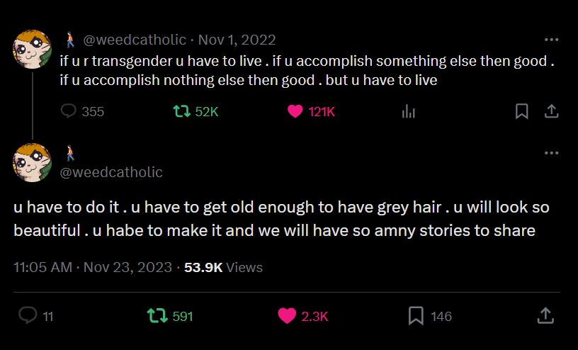 Two posts from twitter that read: "if u r transgender u have to live. if u accomplish something else then good. if u accomplish nothing else then good. but u have to live" "u have to do it. u have to get old enough to have grey hair. u will look so beautiful. u [have] to make it and we will have so [many] stories to share"