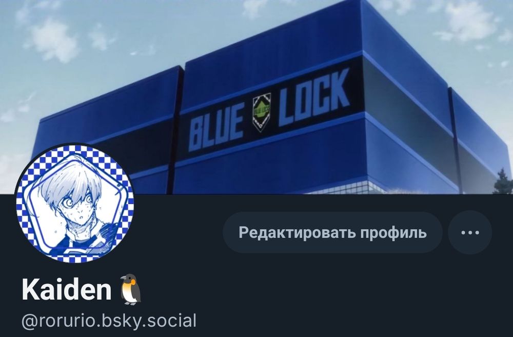 На аватарке персонаж, Хиори, из манги "Blue Lock"