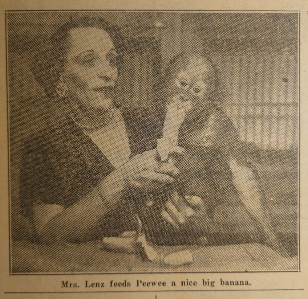 A woman feeding a banana to a chimp.
