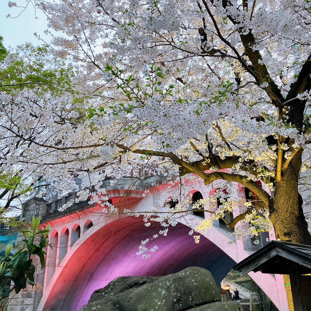 音無親水公園のライトアップ