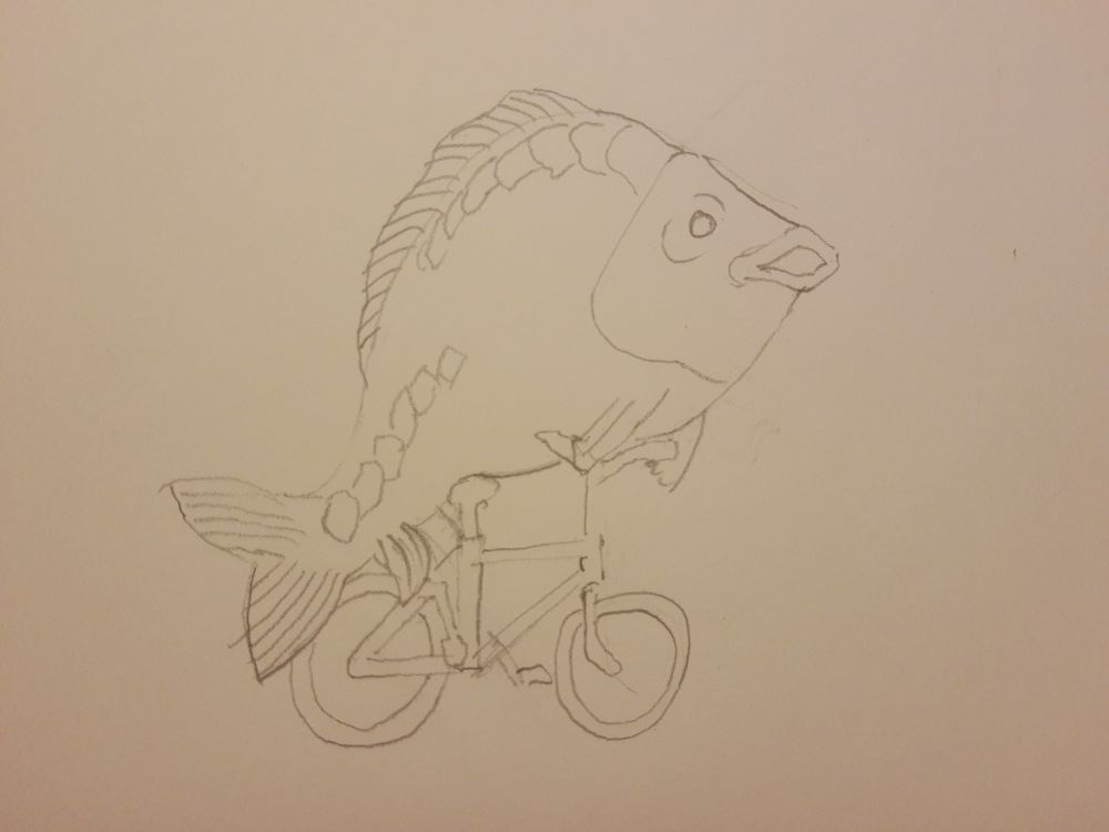 Bleistiftskizze: Aischgründer Spiegelkarpfen auf dem Rad.