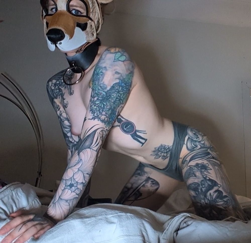 Calliope wearing its proper coyote face, a black posture collar with a large ring, and grey underwear, crawls on all fours