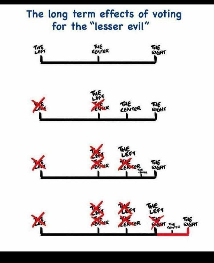 The long term effects of voting for the 