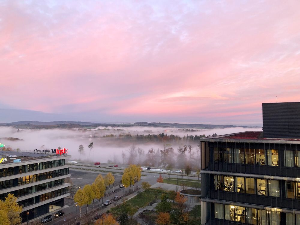 Bild einer Herbstlandschaft mit Bodennebel.