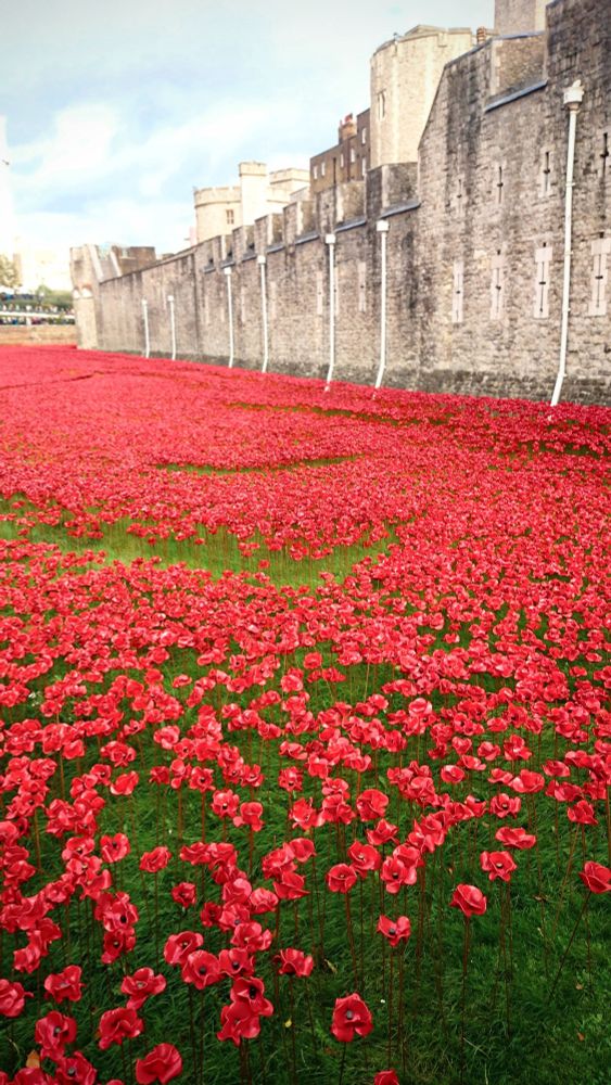A photograph of the wall and most of The Tower of London.  The grassy expanse of the moat is filled with thousands of ceramic poppies.

"Blood Swept Lands and Seas of Red" by ceramicist Paul Cummins and stage designer Tom Piper. Installed at The Tower of London in 2014, the moat was filled with 888,246 individually crafted ceramic poppies — one for each British and Colonial service member fatality in WW1. The title of the installation was taken from the first line of a poem found within the will of an unknown soldier.

More info about the project is on Paul Cummins' website: https://www.paulcumminsceramics.com/blood-swept/

This NPR article is also excellent: 
https://www.npr.org/2014/08/16/340649115/a-sea-of-ceramic-poppies-honors-britains-wwi-dead

"The blood swept lands and seas of red,
Where angels dare to tread.
As I put my hand to reach,
As God cried a tear of pain as the angels fell,
Again and again.

As the tears of mine fell to the ground
To sleep with the flowers of red
As any be dead

My children see and work through fields of my
Own with corn and wheat,
Blessed by love so far from pain of my resting
Fields so far from my love.

It be time to put my hand up and end this pain
Of living hell, to see the people around me
Fall someone angel as the mist falls around
And the rain so thick with black thunder I hear
Over the clouds, to sleep forever and kiss
The flower of my people gone before time
To sleep and cry no more

I put my hand up and see the land of red,
This is my time to go over,
I may not come back
So sleep, kiss the boys for me."

#Trenches #Remembrance #WWI #Poetry #Photography #Scape