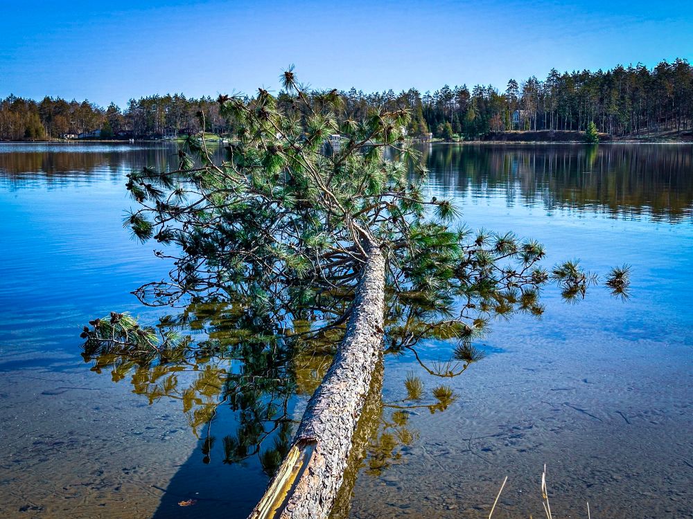Lake McCollum / Northern Michigan