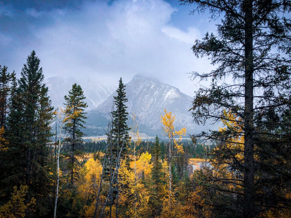 Banff National Park // Sept. 2019