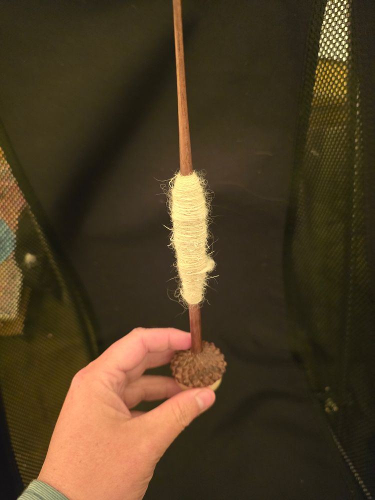 A spindle with an acorn whorl, with a small cop of caribou yarn