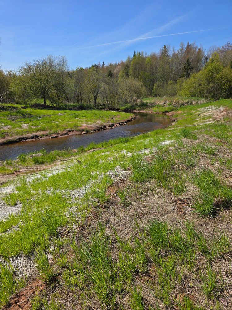 A stream where they've been doing back stabilization and native plantings, which used to power the mill