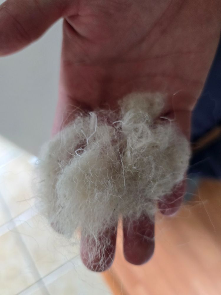 A small hunk of caribou undercoat