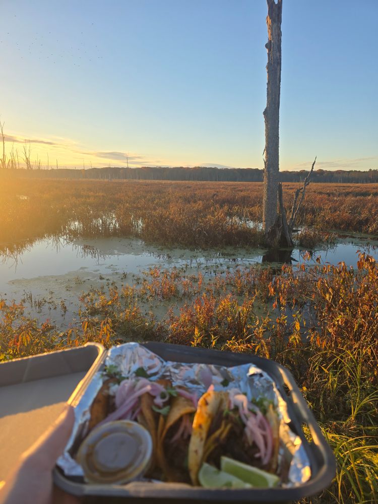 A marshy expanse at golden hour. Someone holds up a to go container of tacos in the foreground.