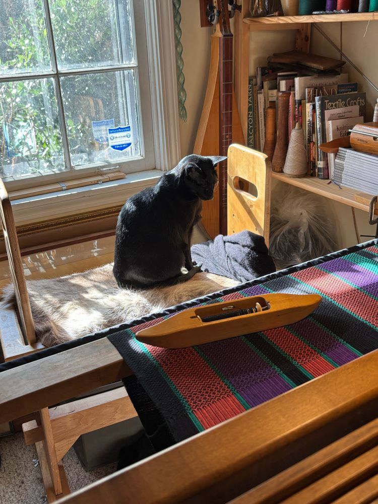 A black oriental shorthair cat sits in a reindeer skin covered weaving bench in warm afternoon sunlight in front of a window and a shelf full of books, magazines and weaving yarn cones. There is and antique mountain dulcimer handing on the wall and a floor loom with Halloween striped towels in progress on the loom. A weaving shuttle is laid across the finished weaving. 