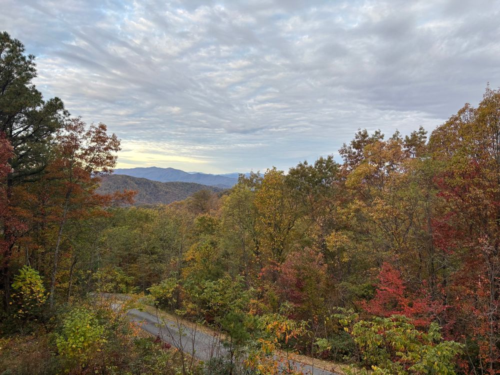 A long distance view of the Southern Smoky Mountains with autumnal leaves and a one lane road winding through the foreground.