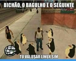 Bichão, o bagulho é o seguinte

Tu vai usar Linux sim