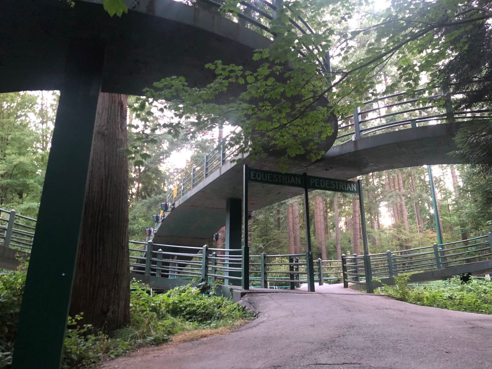 The equestrian/pedestrian bridge over the roadway. 