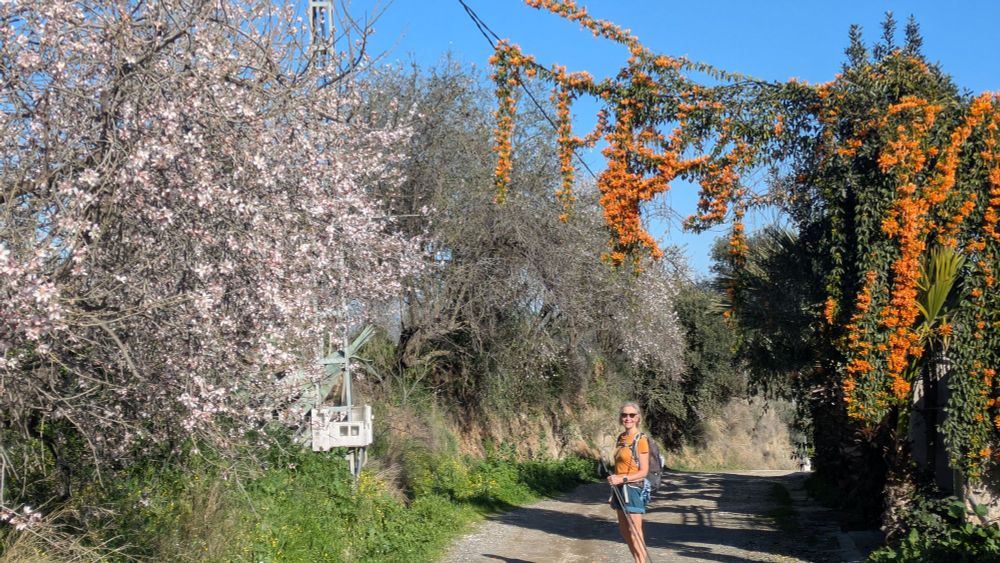 Early February and almond blossom 