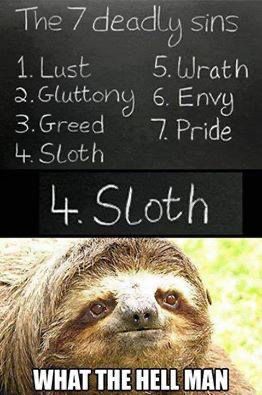 A meme listing the seven deadly sins on the top: lust, gluttony, greed, sloth, wrath, envy, pride. The bottom half is a close-up of a sloth with what the hell man.