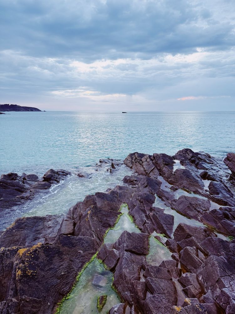 Photo de la côte bretonne à marée basse 