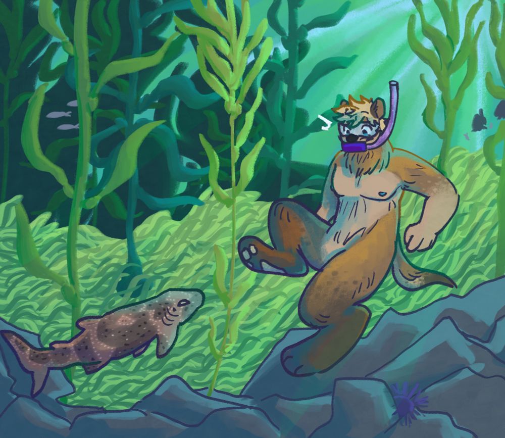 digital painting of an anthro otter in a kelp forest looking surprised at a swell shark