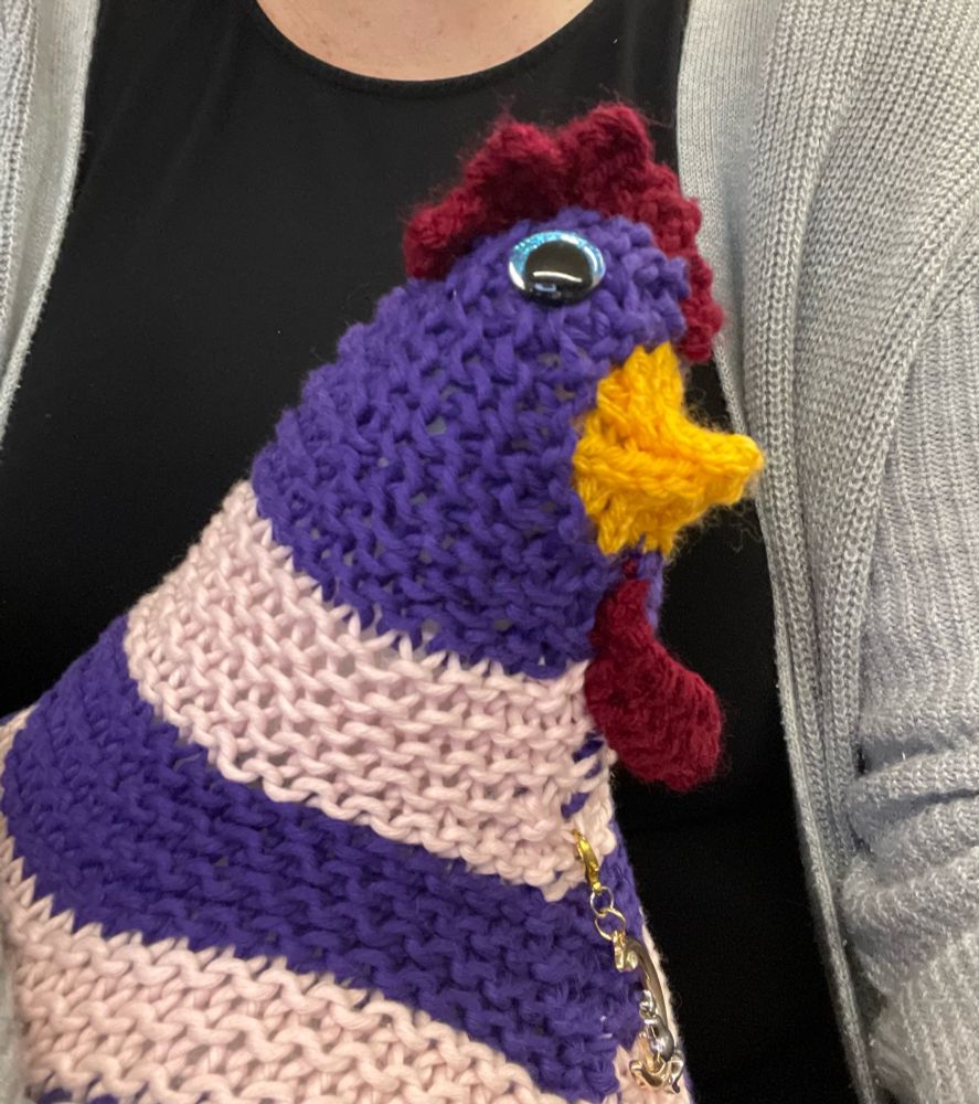 Close up of a knitted chicken