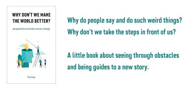 Promotional image with a white background, a thumbnail of the book's cover, and the text: 'Why do people say and do such weird things? Why don't we take the steps in front of us? A little book about seeing through obstacles and being guides to a new story.'