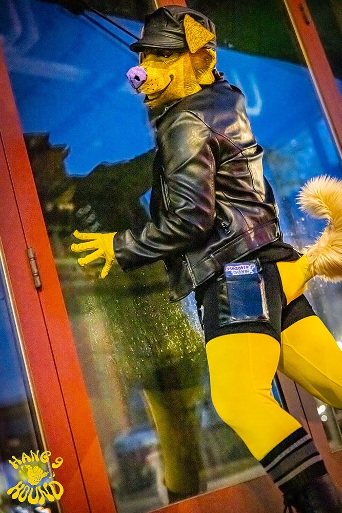 A photo of a yellow human pup wearing a leather muir cap, a leather jacket, assless chap shorts, and long black socks under his tall black leather boots.  He is pressing his chest up against a glass window at night in the South of Market district of San Francisco, AKA the LGBTQ+ Leather District.  Photo by @cpony.com