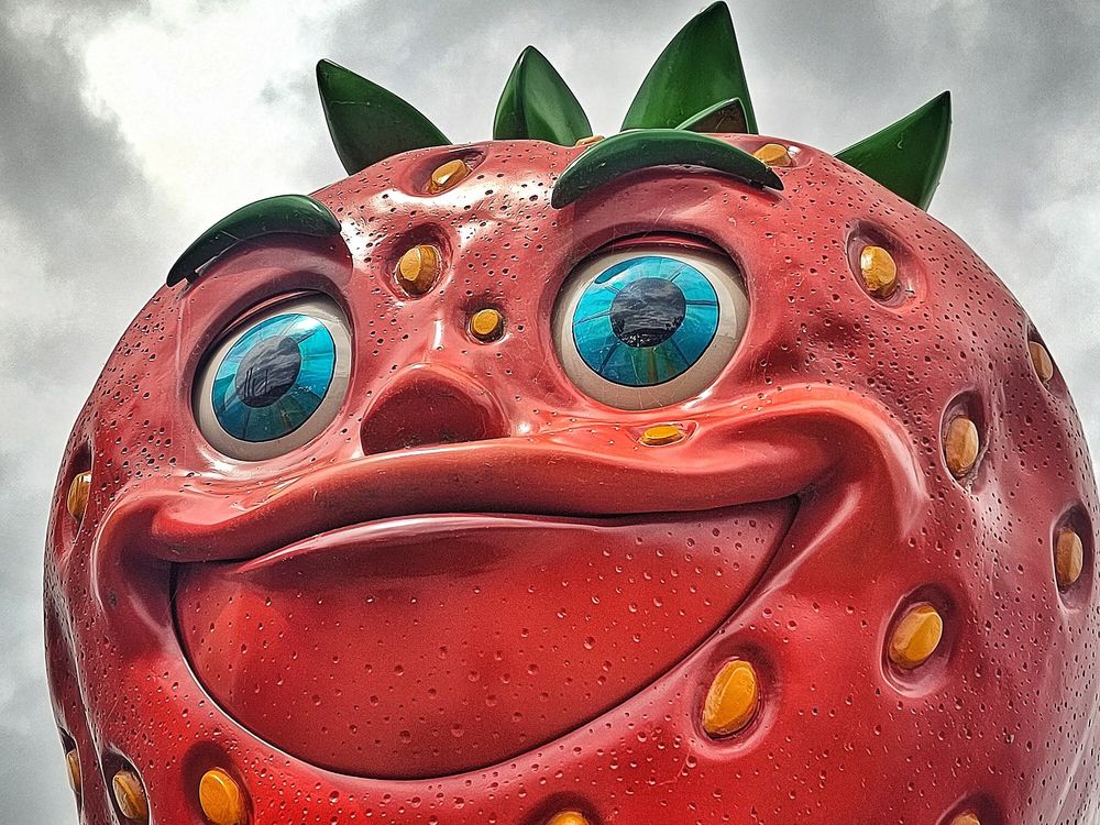 Formatfüllende Untersicht-Aufnahme des Gesichts eines Maskottchens in Form einer roten Erdbeere mit grinsendem Mund; die azur-blauen Augen schauen nach links aus dem Bild. Harte Kontraste und übersättigte Farben #Erdbeerdorf #Koserow #Usedom