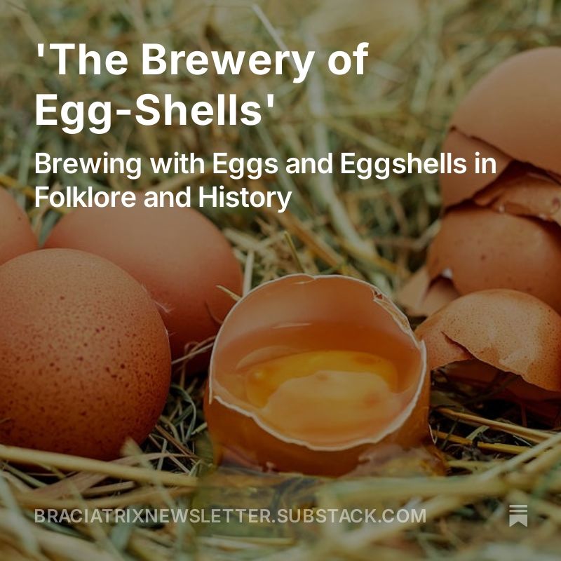Image of brown eggs and brown egg shells on straw, one central half egg shell with yolk inside. Text on image reads 'The Brewery of Egg-Shells' Brewing with Eggs and Eggshells in Folklore and History