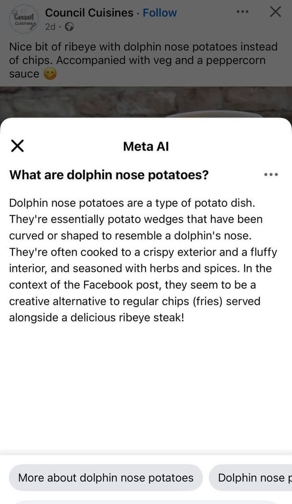 Screenshot of Meta AI saying 