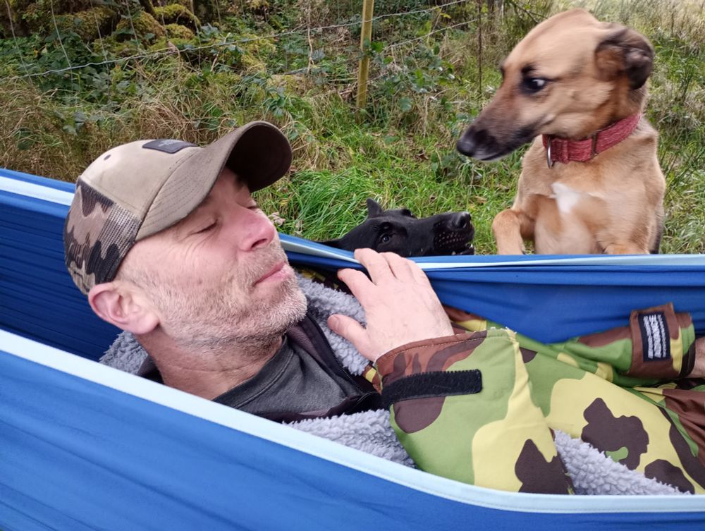 Photo of Leon lying in the hammock and Jessie the lurcher up on her hind paws looking at him with a 'what are you doing? ' face 