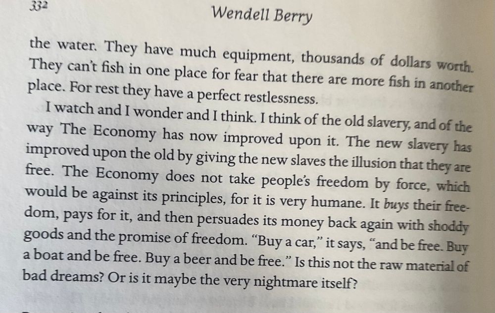 Excerpt from novel JAYBER CROW by Wendell Berry.
