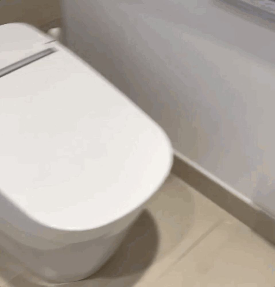 a white toilet is sitting on a tiled floor next to a wall .