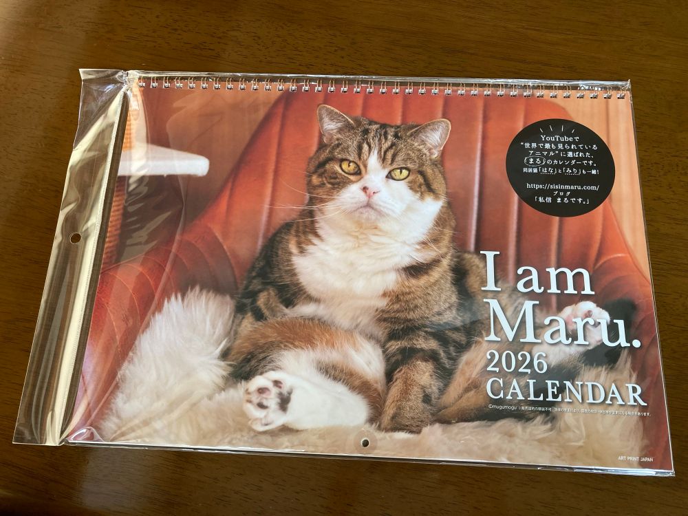 YouTubeで人気の猫まるさん(mugumoguチャンネル)の2026年カレンダー。壁掛け用の大きいサイズ。