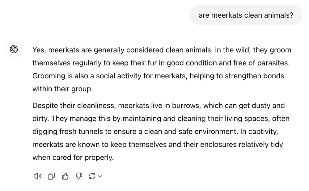 A screenshot of a question and answer to ChatGPT. The question is "are meerkats clean animals?"

ChatGPT answered: Yes, meerkats are generally considered clean animals. In the wild, they groom themselves regularly to keep their fur in good condition and free of parasites. Grooming is also a social activity for meerkats, helping to strengthen bonds within their group.

Despite their cleanliness, meerkats live in burrows, which can get dusty and dirty. They manage this by maintaining and cleaning their living spaces, often digging fresh tunnels to ensure a clean and safe environment. In captivity, meerkats are known to keep themselves and their enclosures relatively tidy when cared for properly.