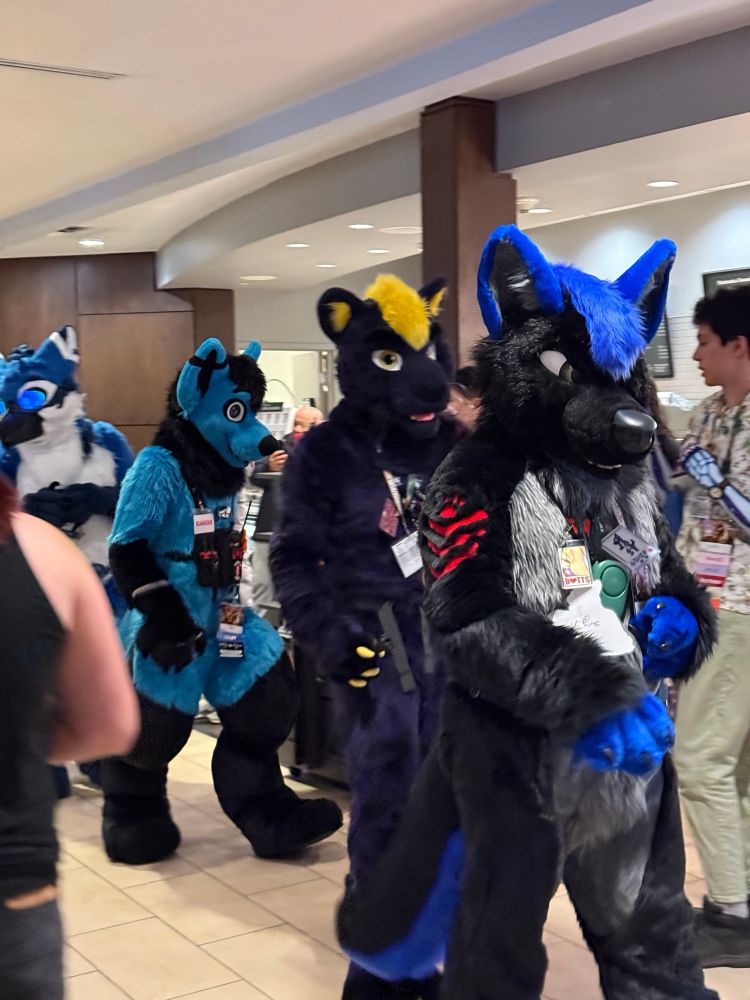 Finn The Panther walking in the fursuit parade at VF 2025.