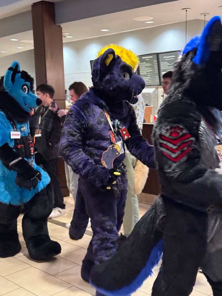 Finn The Panther walking in the fursuit parade at VF 2025 part 2.