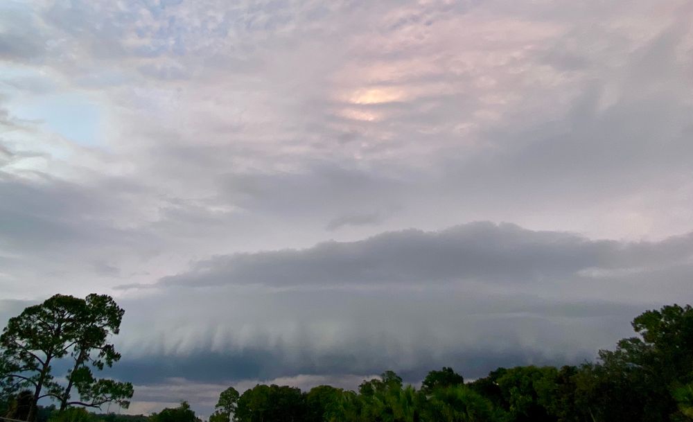 a large storm cloud hovering in the sky over some trees. the sky above it has colors of gray, pink, and blue 