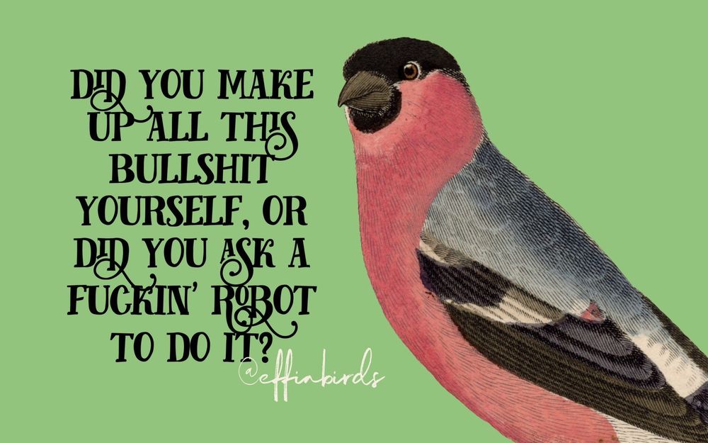 @effinbirds image with the text "did you make up all this bullshit yourself, or did you ask a fuckin' robot to do it?"