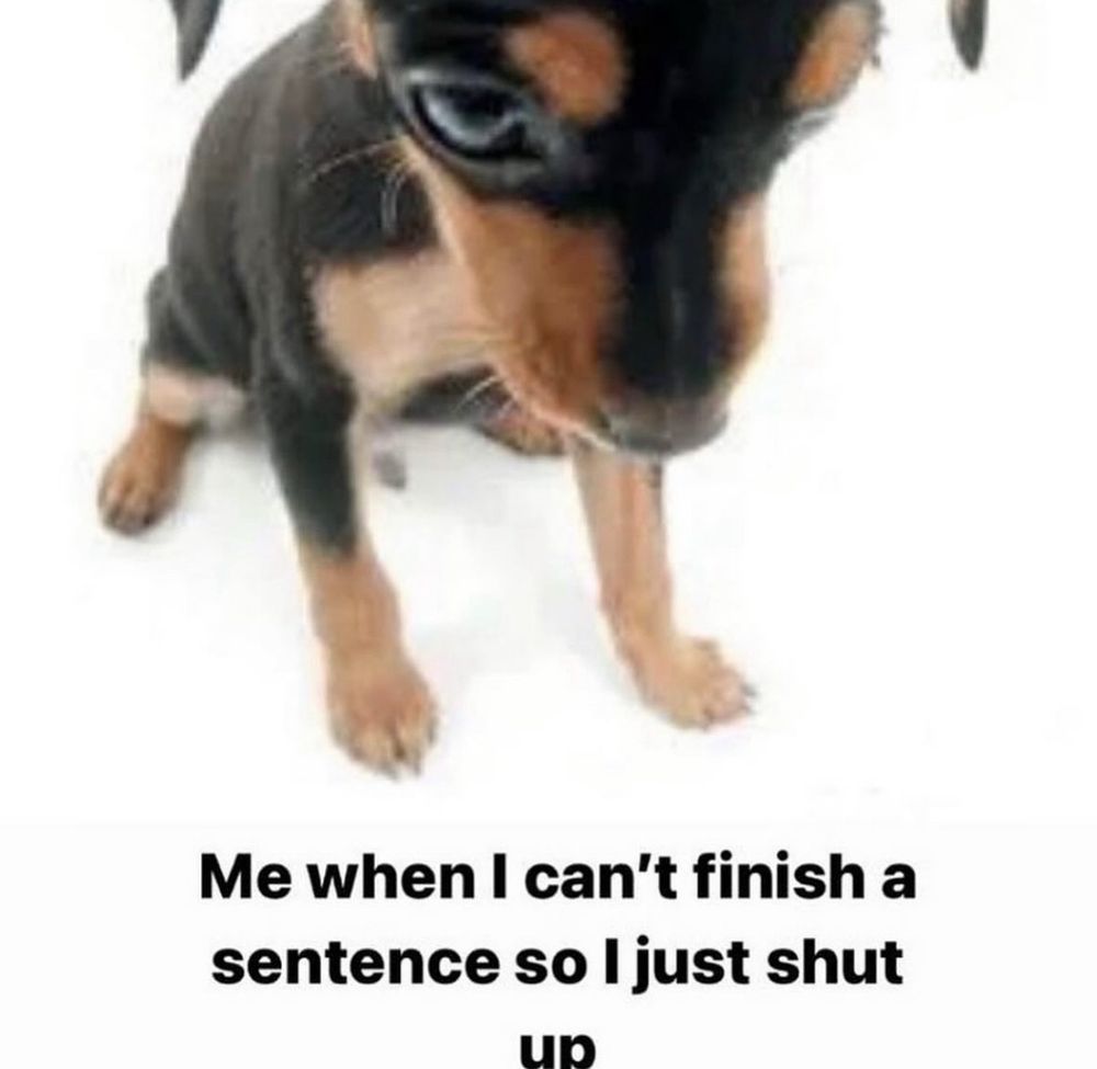 picture of a puppy headbutting a camera with caption "me when I can't finish a sentence so I just shut up" 