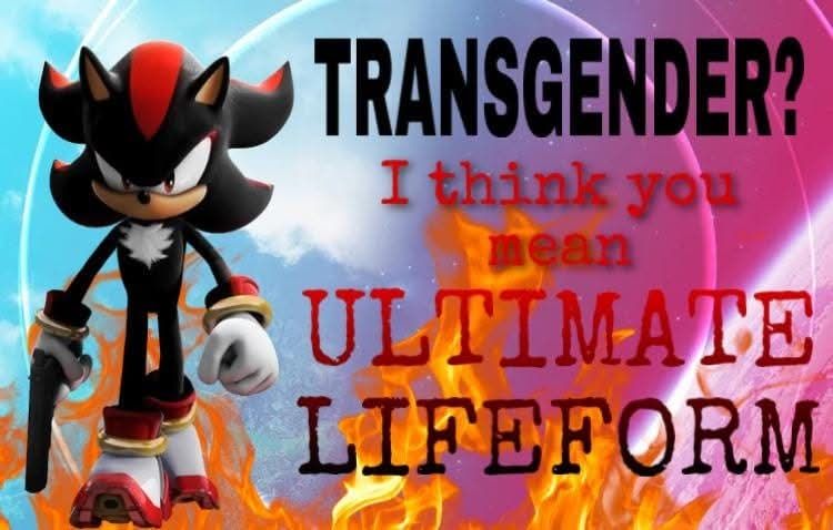 Shadow the hedgehog featured in front of a colorful background and holding a gun. To the right of him it says, "Transgender? I think you mean ULTIMATE LIFEFORM" with "ultimate lifeform" capitalized.