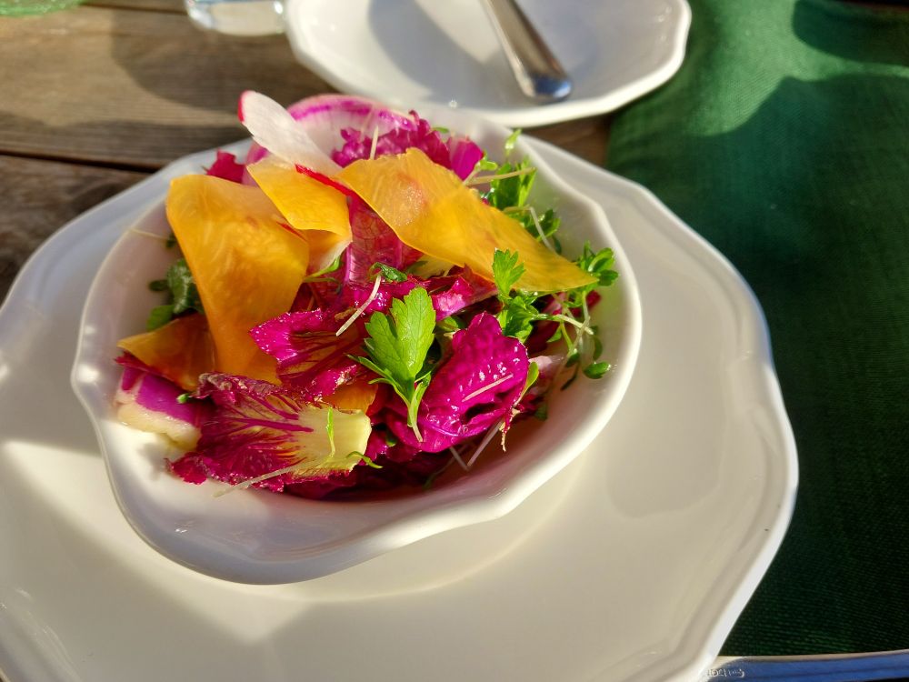 Bunter Herbstsalat in einer weißen Salatscjüssel mit Untertasse (Radiccio, Kapuzinerkresse, Kürbiscarpaccio ...)