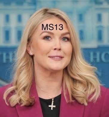 A smiling headshot of White House press secretary Karoline Leavitt, with the letters "MS13" photoshopped onto her forehead, and her cross necklace flipped upside down.