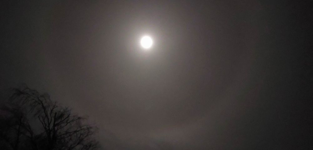 Almost full moon on a chilly, misty night surrounded by a lunar halo. Bare tree branches nudge into shot on the bottom left.