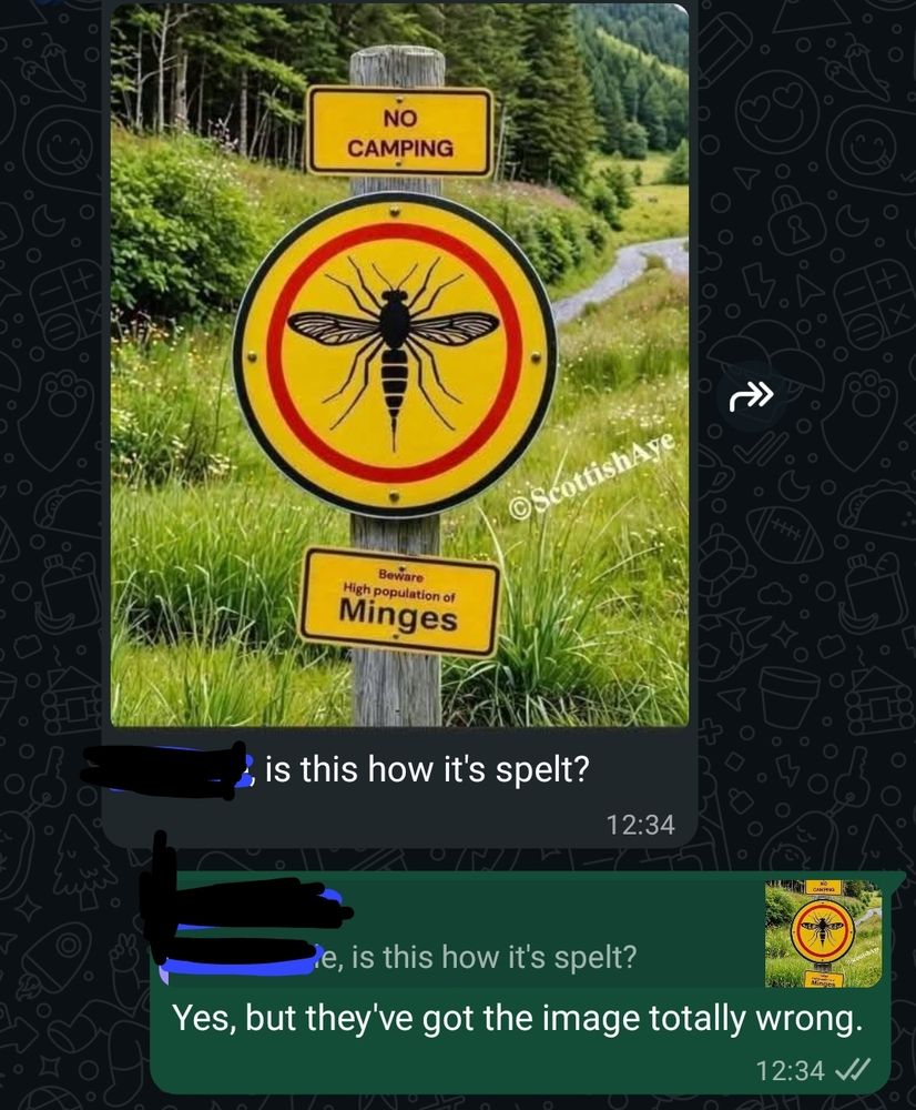 My brother posted a photo of a NO CAMPING sign with a large line-drawn image of a biting insect above the words "Beware! High population of Minges". His text asked: "Is this how it's spelt?"
I replied: "Yes, but they've got the image totally wrong".
