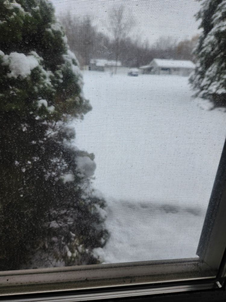 View of outside my window